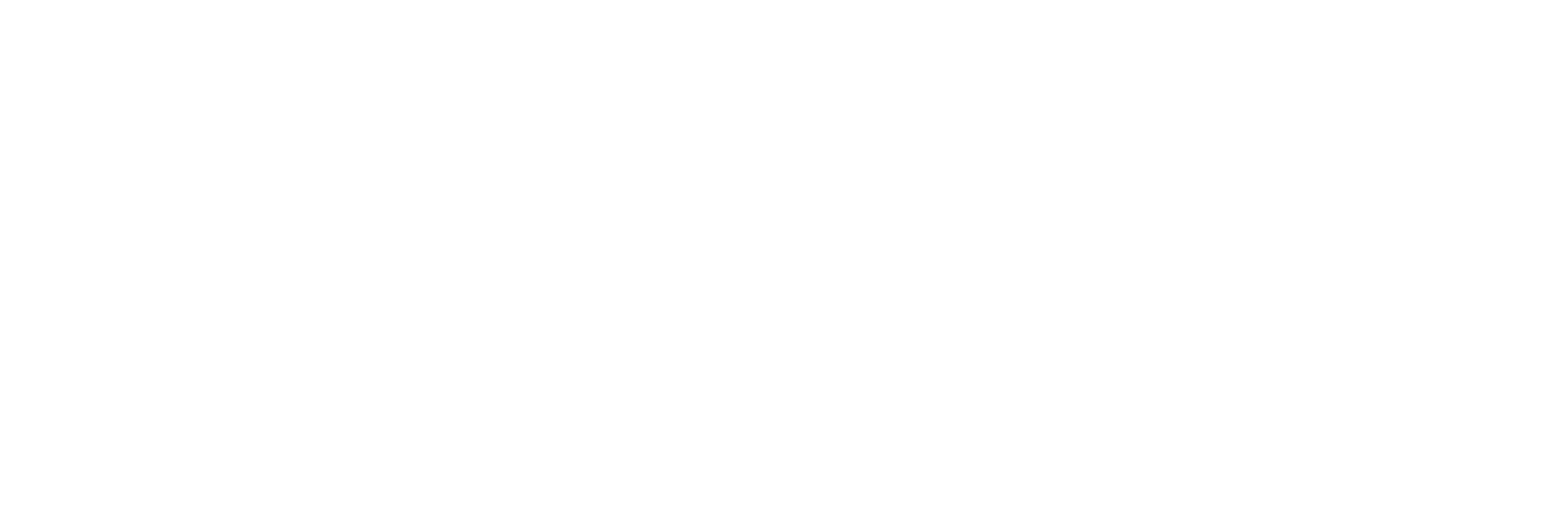 Carpital Locadora